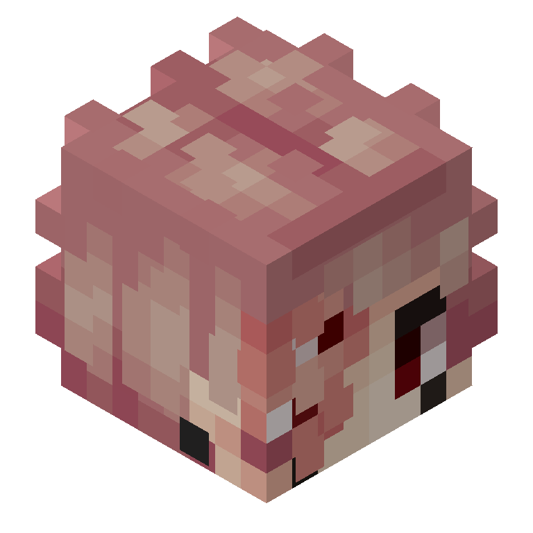 HEAD_ISO
