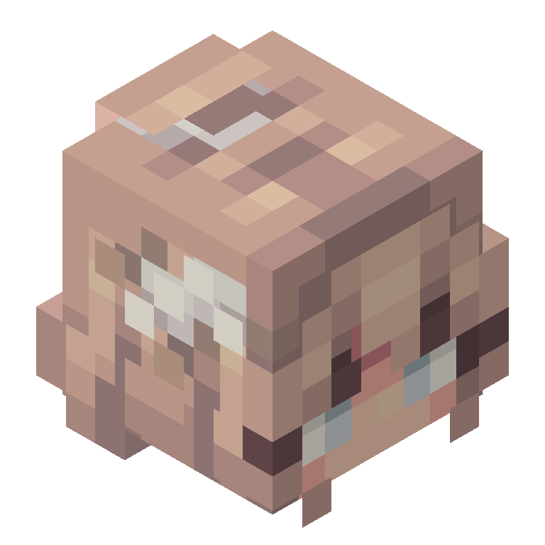 HEAD_ISO