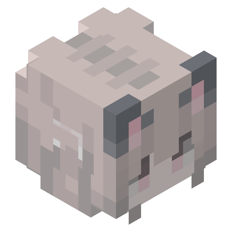 HEAD_ISO