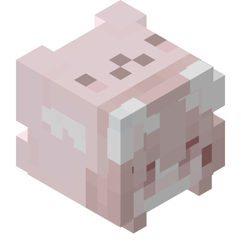 HEAD_ISO
