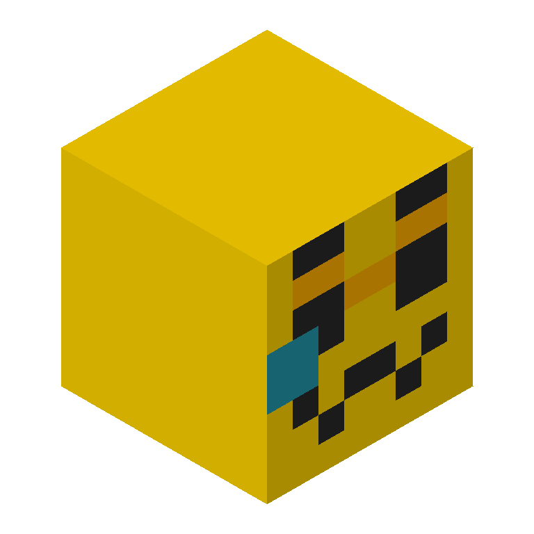 HEAD_ISO