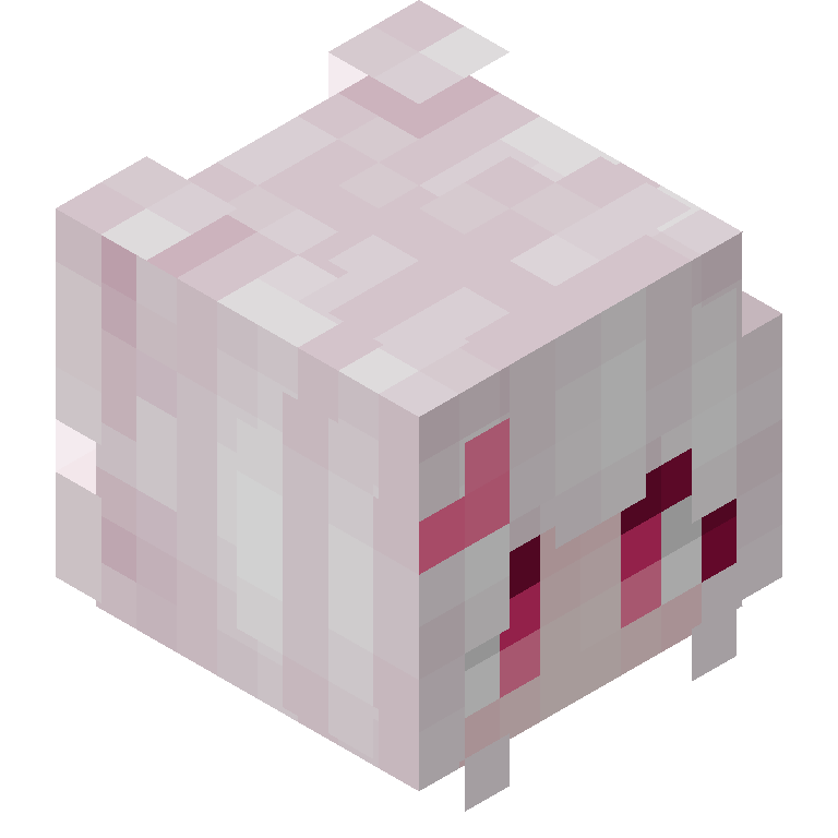 HEAD_ISO