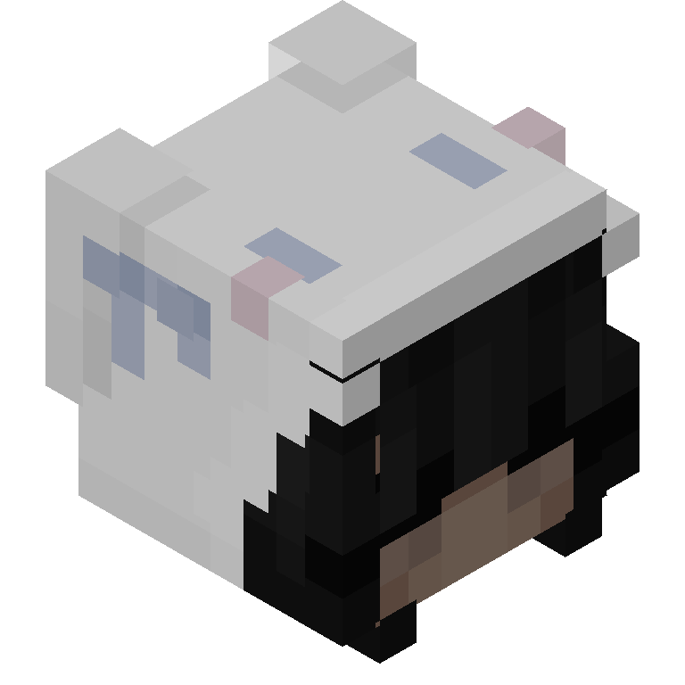 HEAD_ISO