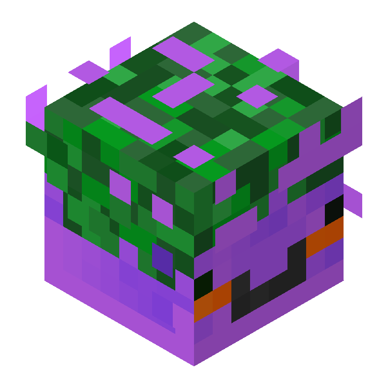 HEAD_ISO