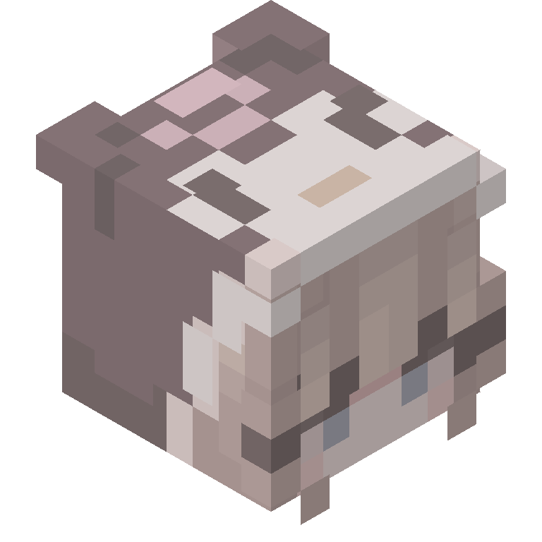 HEAD_ISO