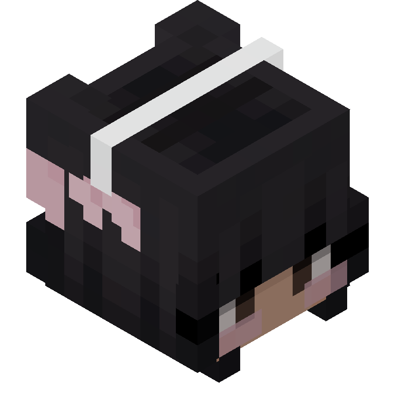 HEAD_ISO
