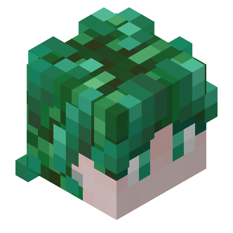 HEAD_ISO