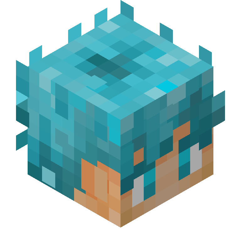 HEAD_ISO