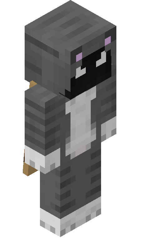 ExpertBot skin - FULLBODY_ISO_FRONT