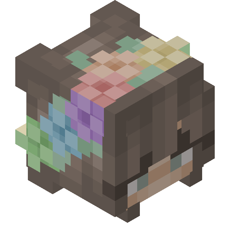 HEAD_ISO
