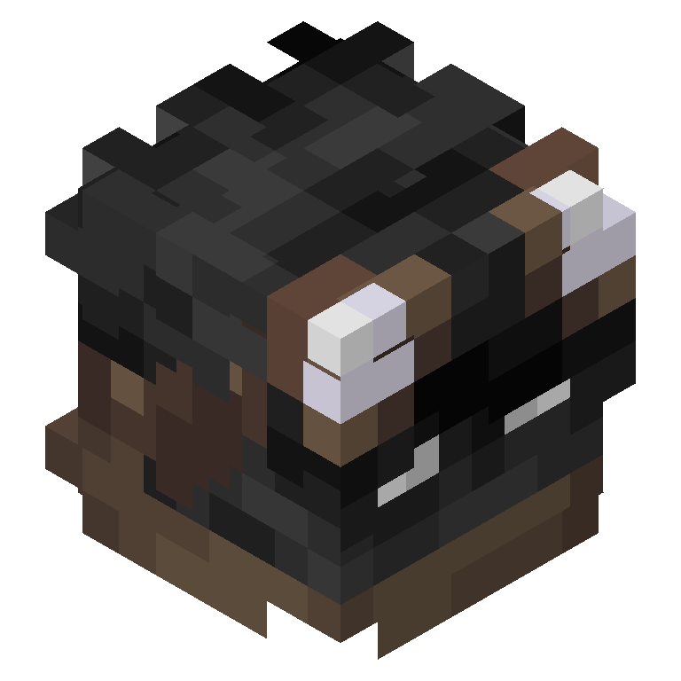 HEAD_ISO