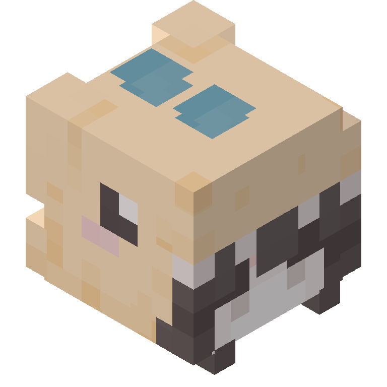 HEAD_ISO