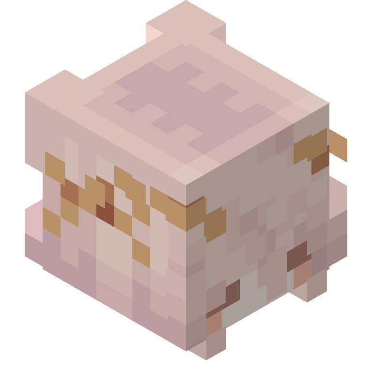 HEAD_ISO
