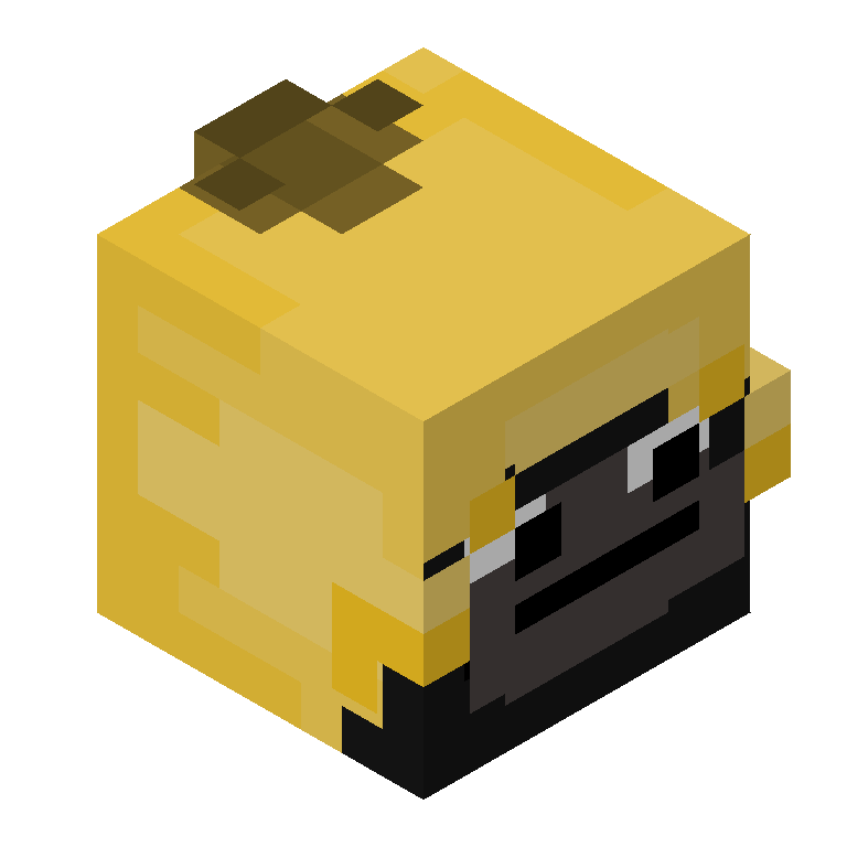 HEAD_ISO