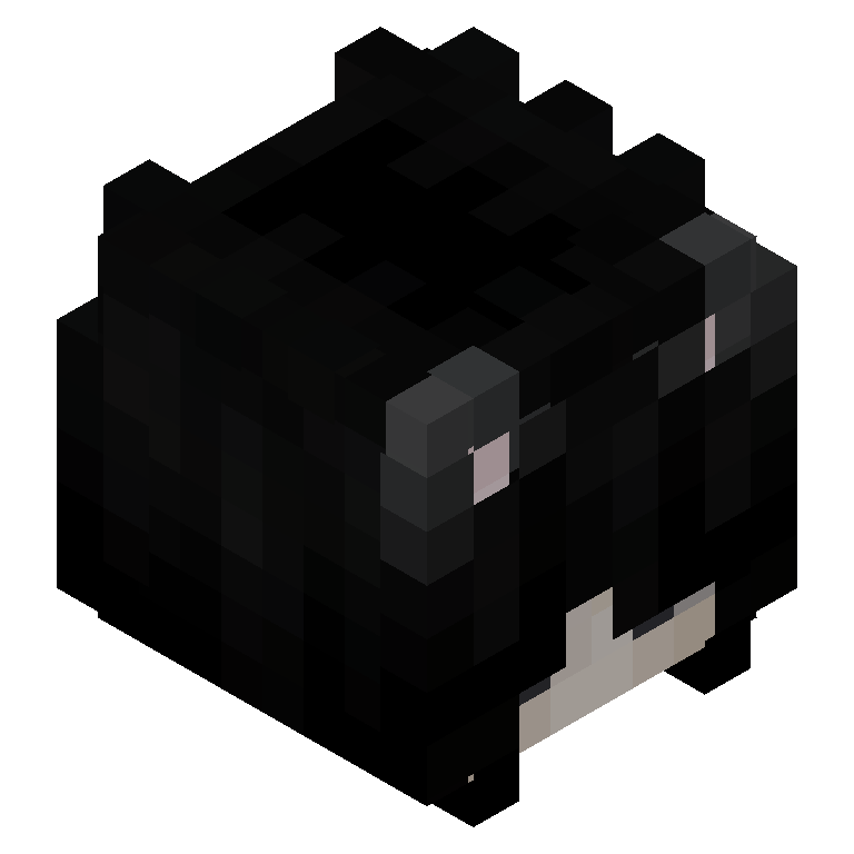 HEAD_ISO