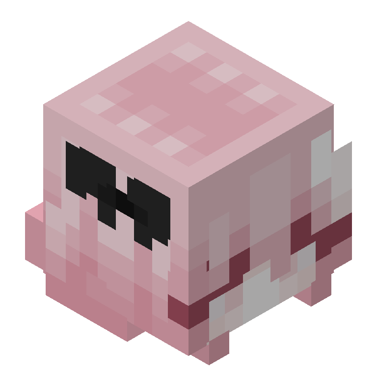 HEAD_ISO