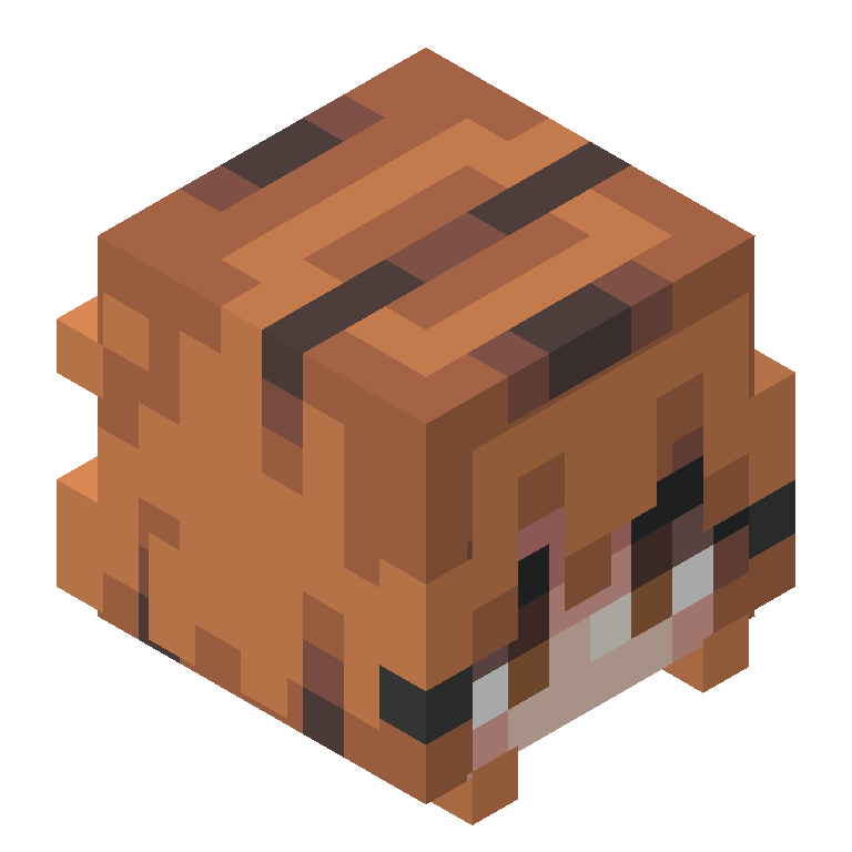HEAD_ISO