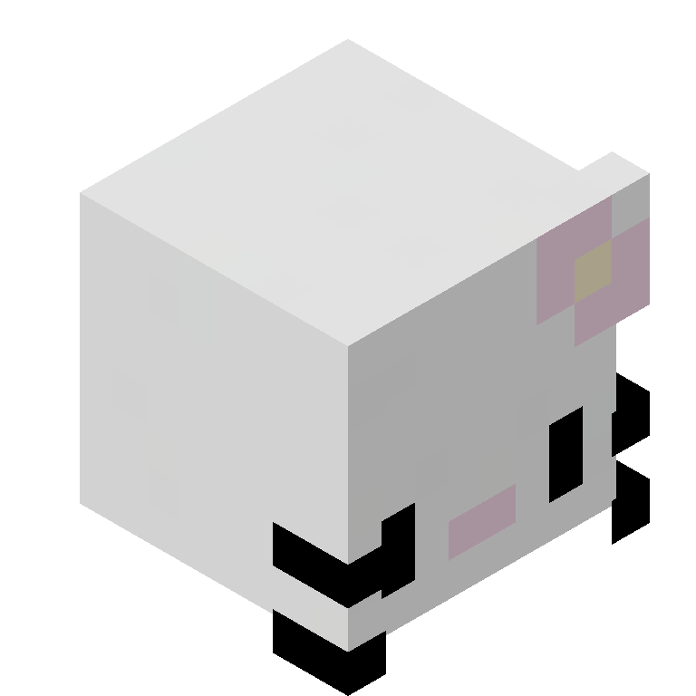 HEAD_ISO