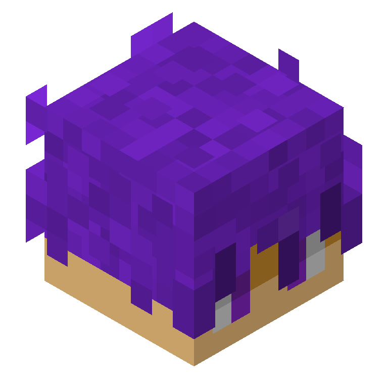HEAD_ISO