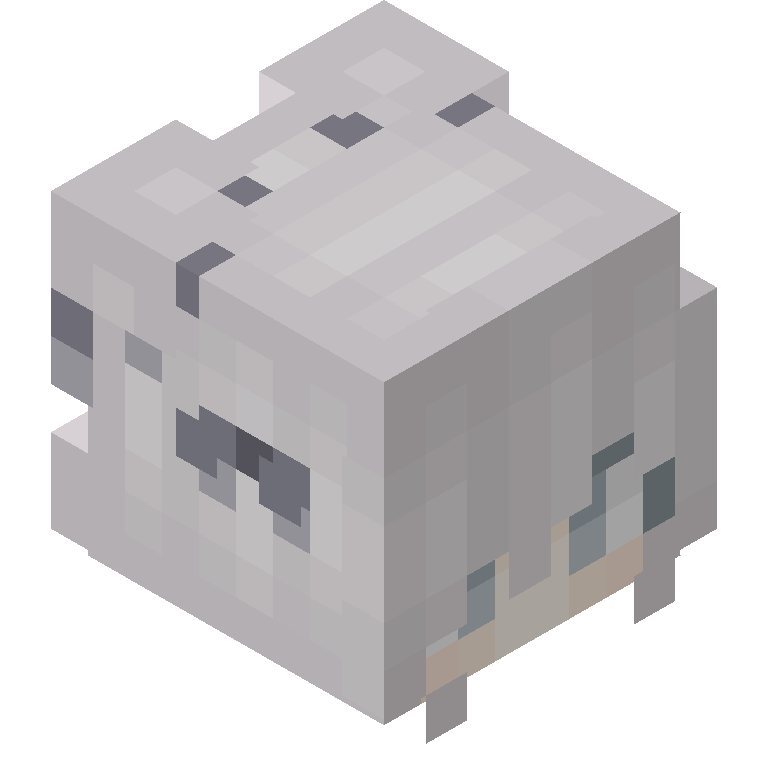 HEAD_ISO