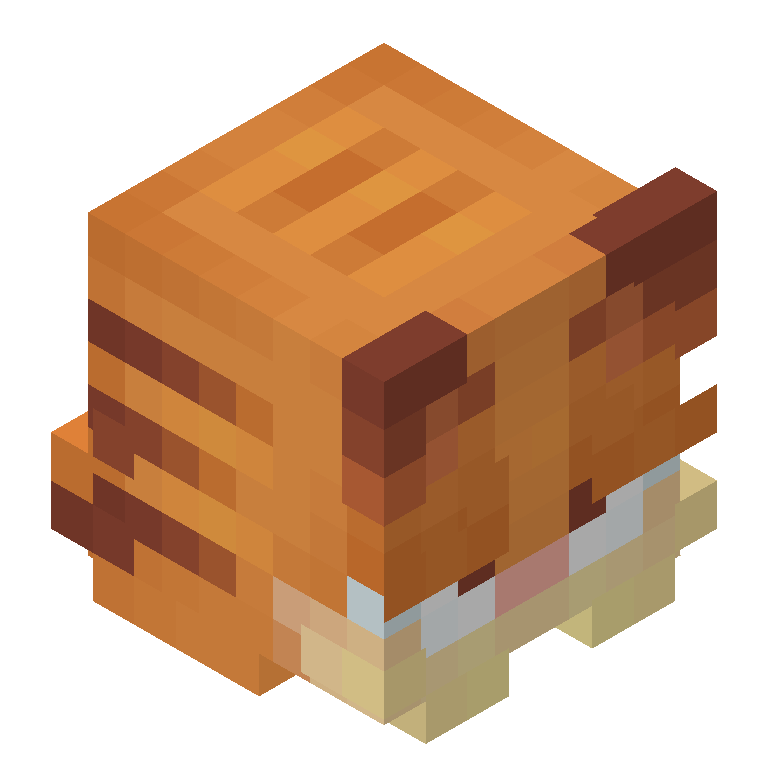 HEAD_ISO