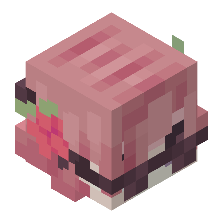 HEAD_ISO