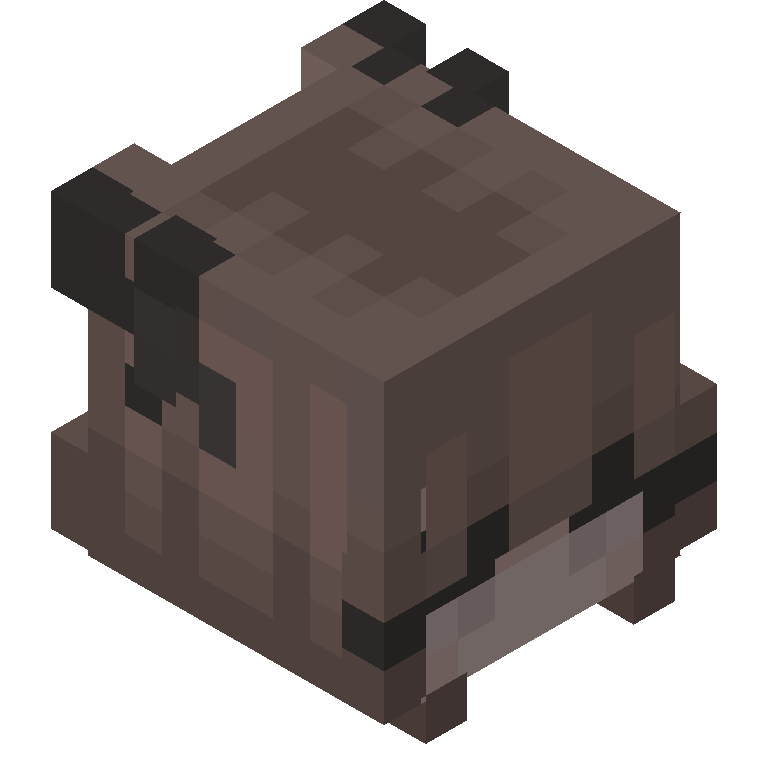 HEAD_ISO