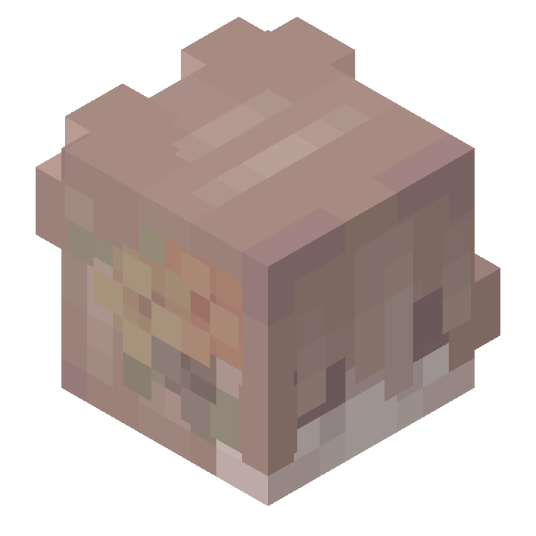 HEAD_ISO