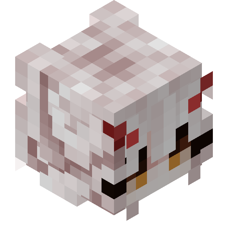 HEAD_ISO