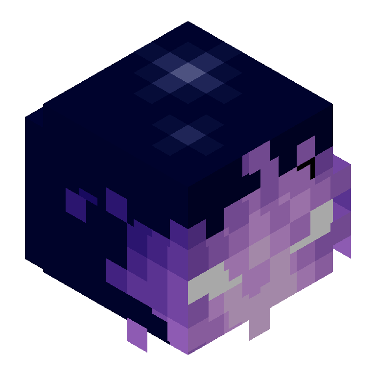 HEAD_ISO