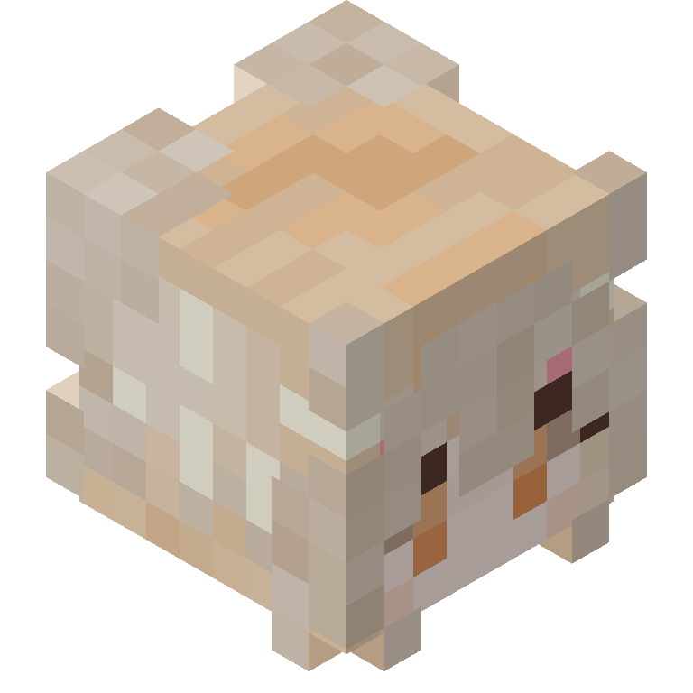 HEAD_ISO