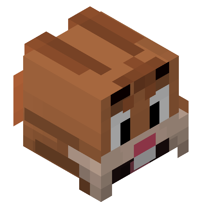 HEAD_ISO