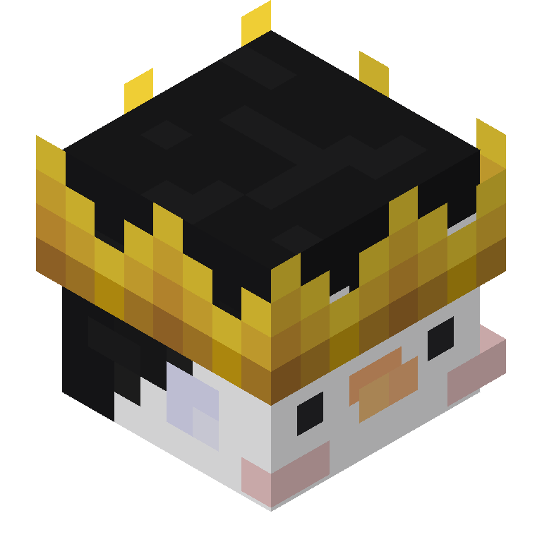HEAD_ISO