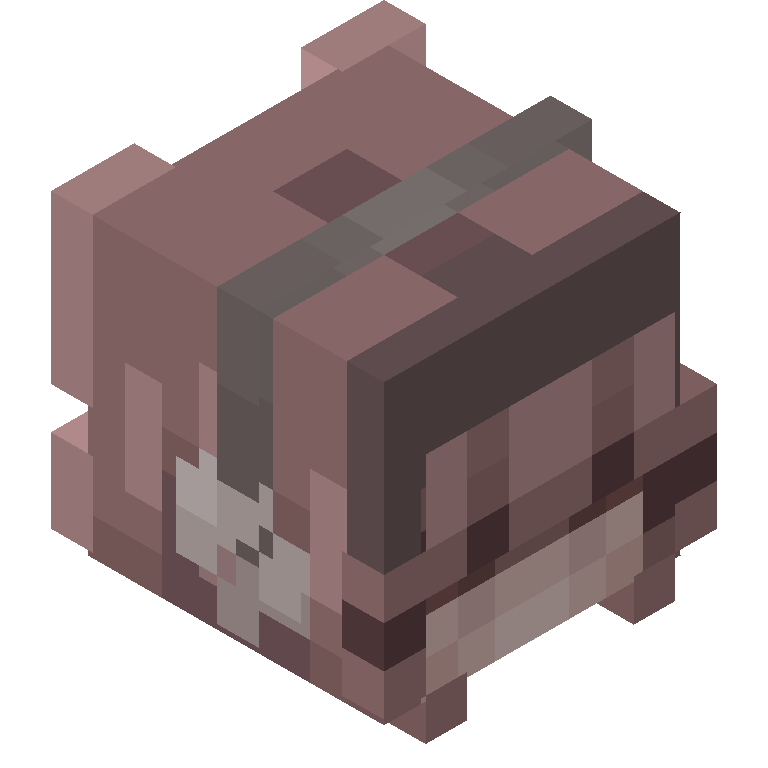 HEAD_ISO