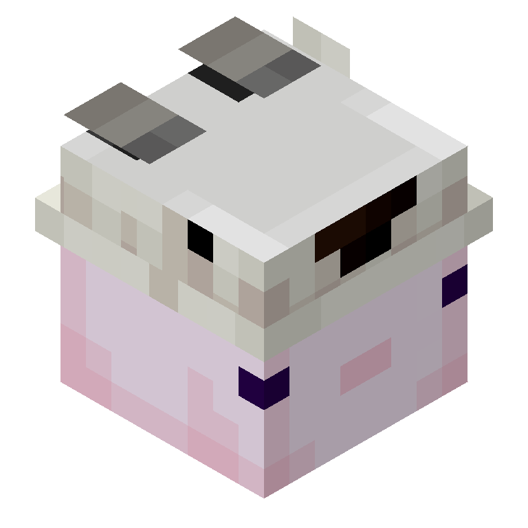 HEAD_ISO