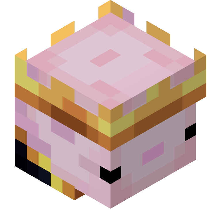 HEAD_ISO