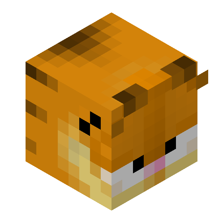 HEAD_ISO