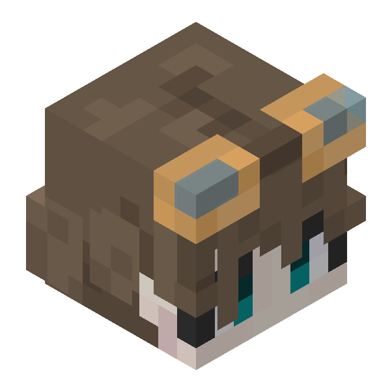 HEAD_ISO