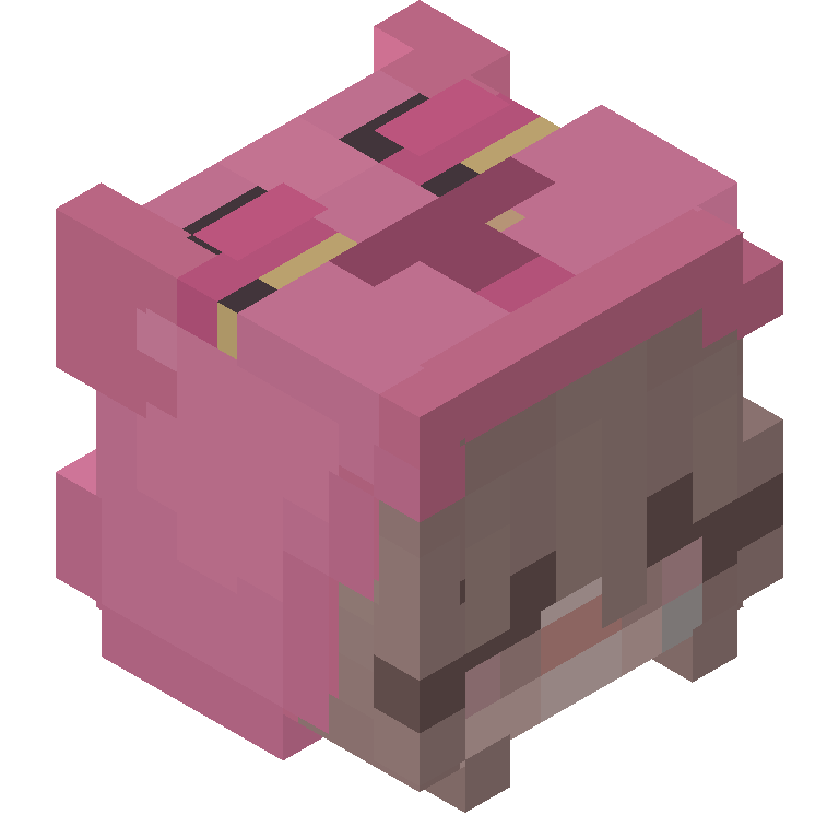 HEAD_ISO