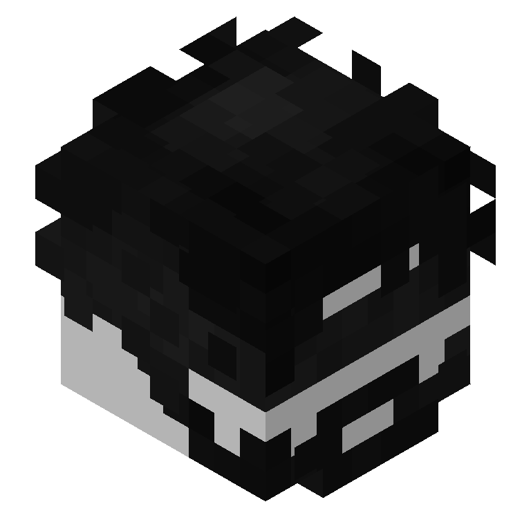 HEAD_ISO