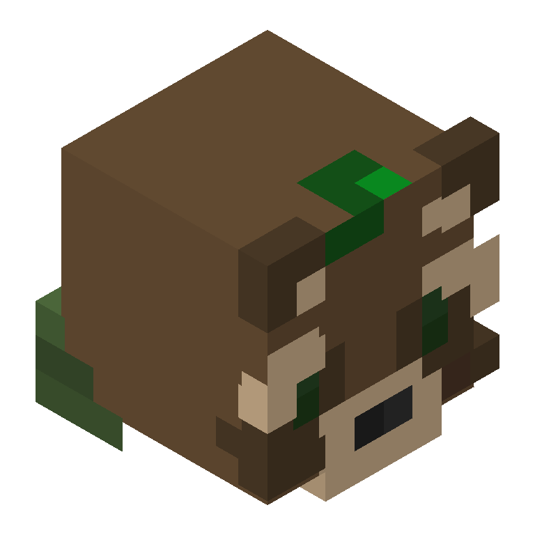 HEAD_ISO