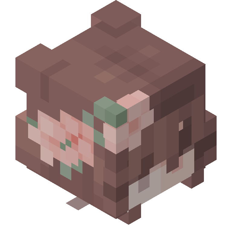 HEAD_ISO