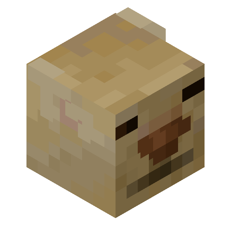 HEAD_ISO