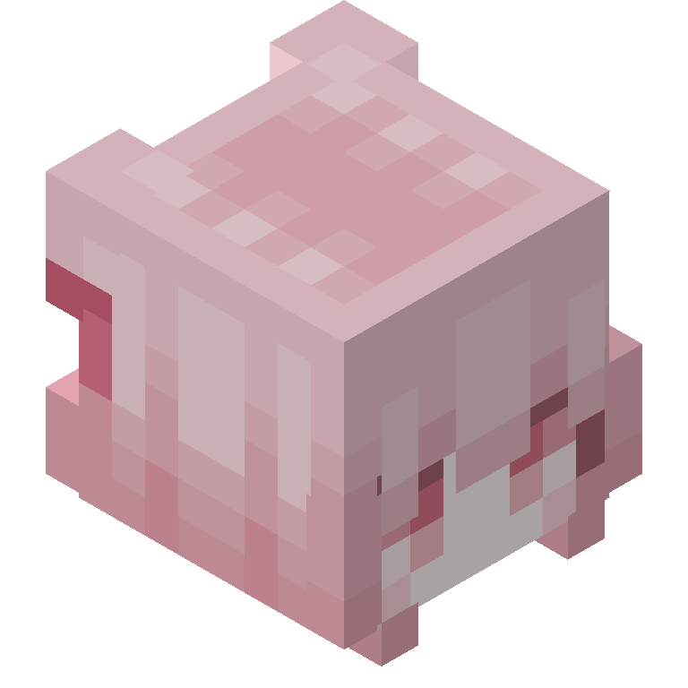 HEAD_ISO