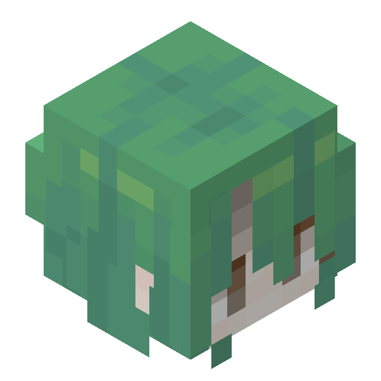 HEAD_ISO