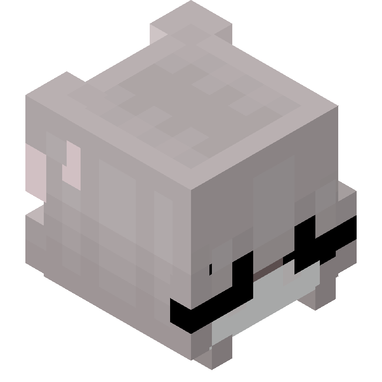 HEAD_ISO