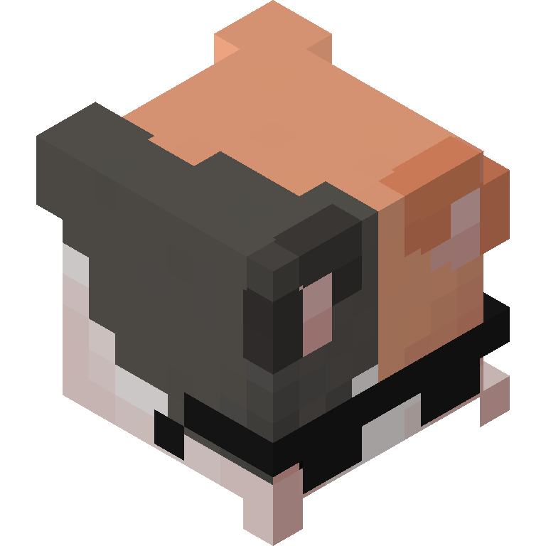 HEAD_ISO