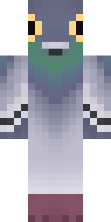BODY