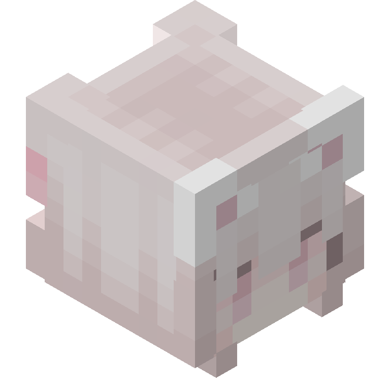 HEAD_ISO