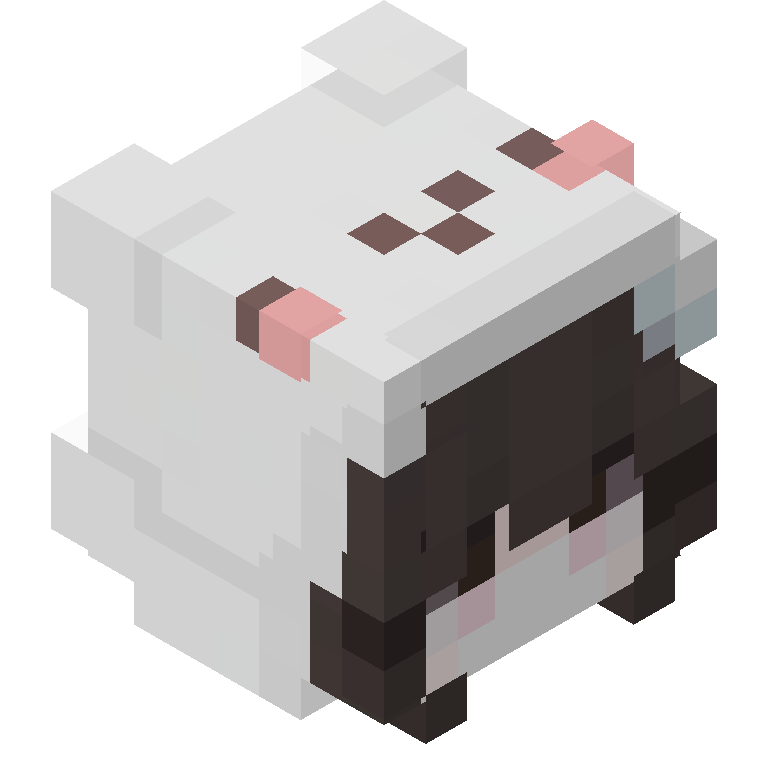 HEAD_ISO